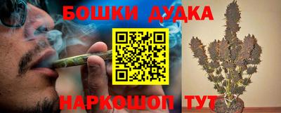 амф Новозыбков