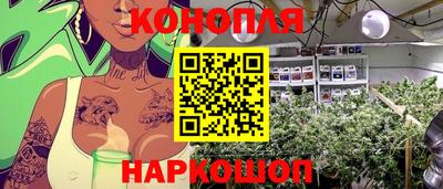 гидра Обь
