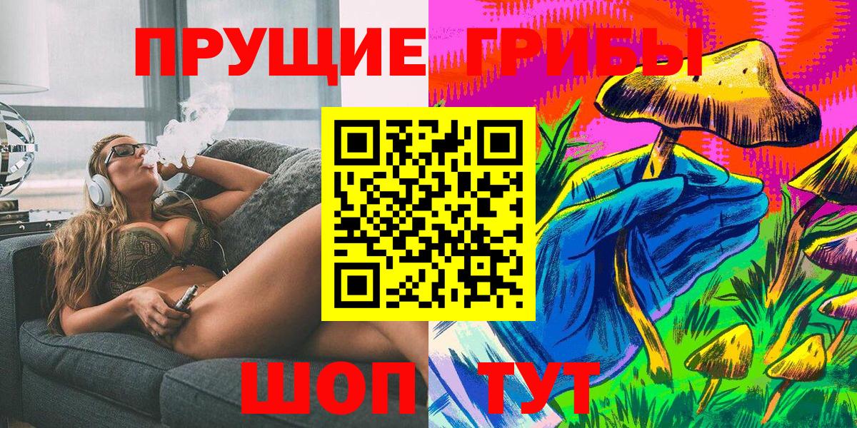 Галлюциногенные грибы Psilocybe Узловая