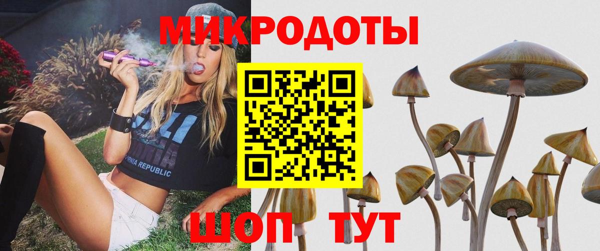 Псилоцибиновые грибы Magic Shrooms  Галлюциногенные грибы GOLDEN TEACHER  Узловая  Вход с VPN 