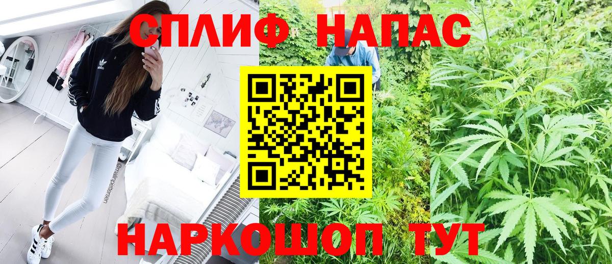 Каннабис MAZAR  Канабис планчик  Бошки Шишки VHQ  Узловая  Вход с VPN 